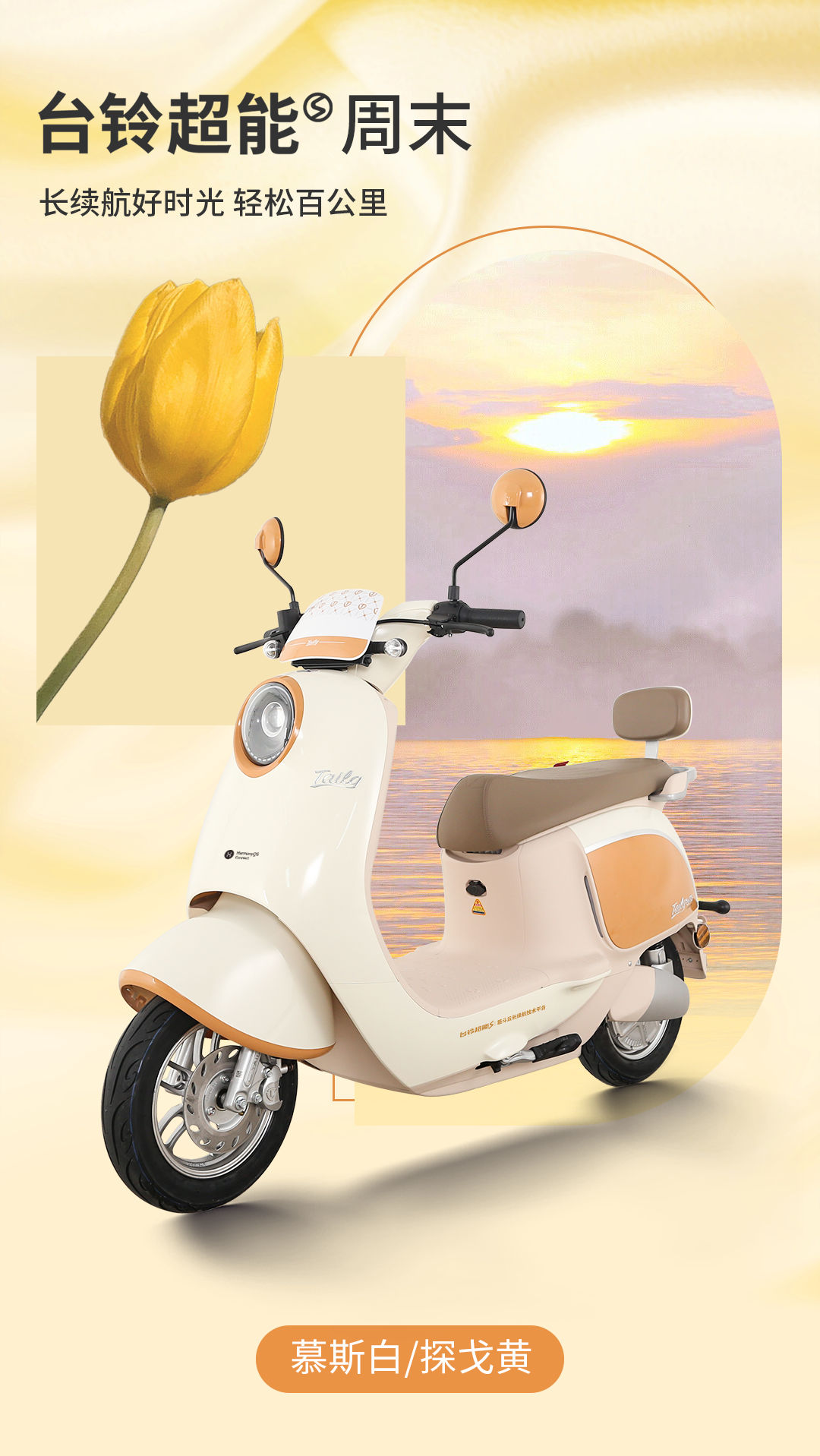 臺(tái)鈴長(zhǎng)續(xù)航電動(dòng)車